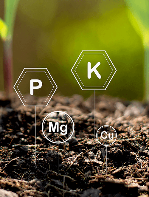 Fertilizers